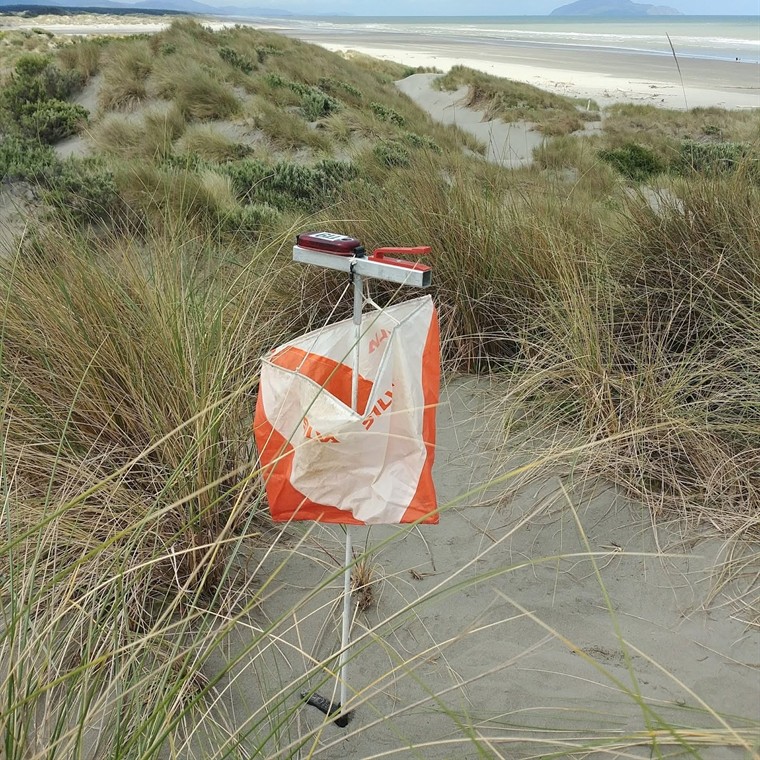 An orienteering control among coastal sand dunes